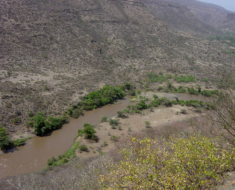 Middle Awash region of the Awash river in Ethiopia.